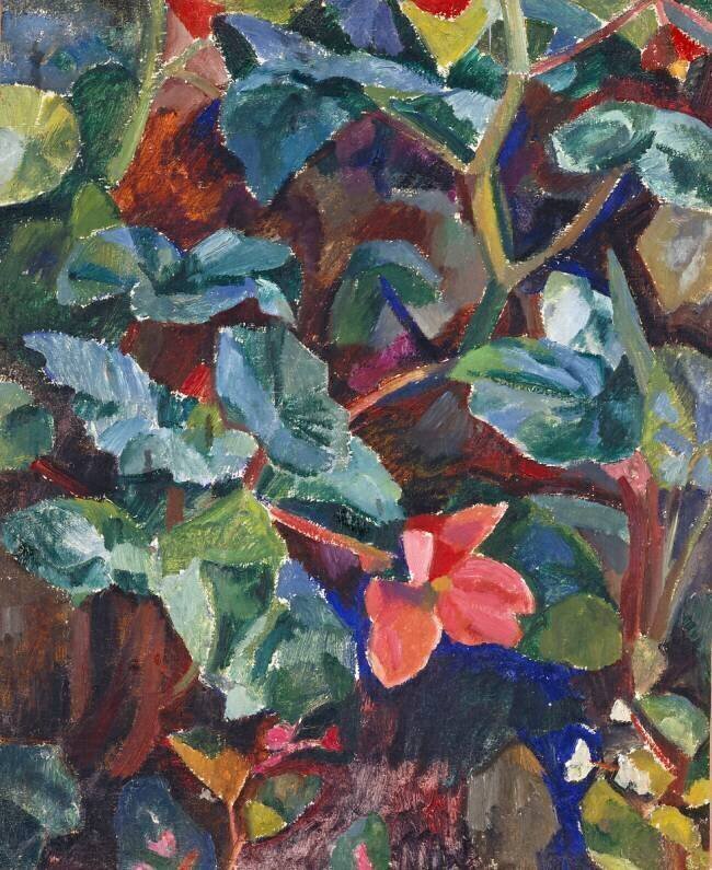 Bégonias Robert Delaunay