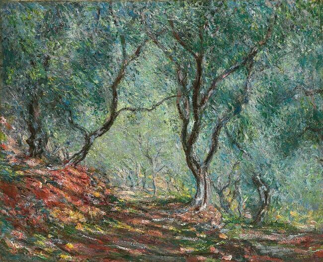 Bois d'oliviers au jardin Moreno Claude Monet