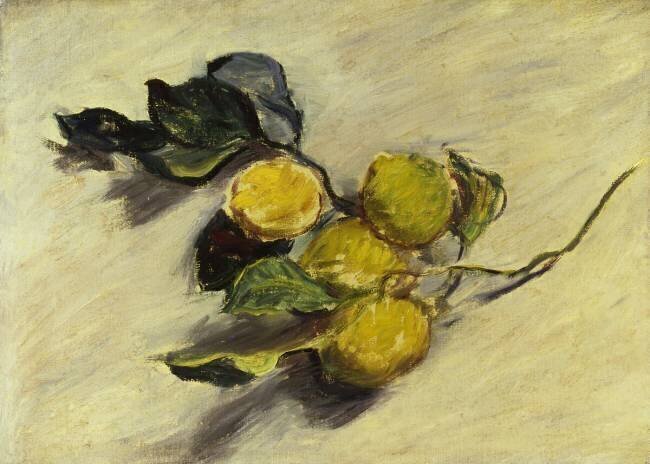Branche de citronnier Claude Monet