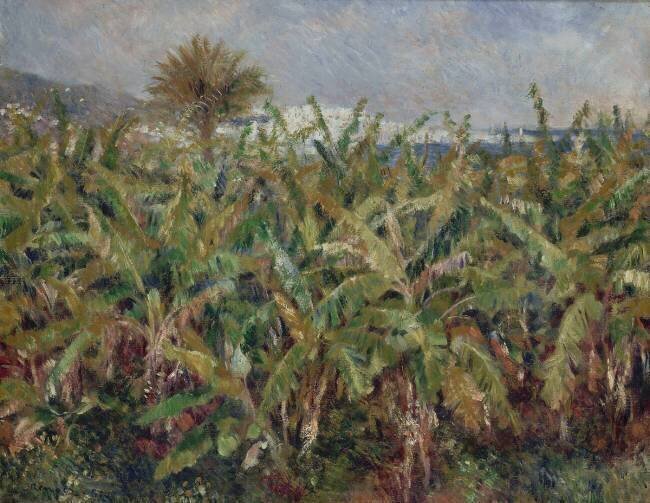 Champ de bananiers Auguste Renoir