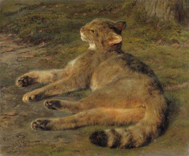 Chat sauvage Rosa Bonheur