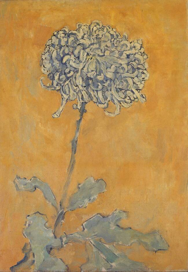 Chrysanthème Piet Mondrian