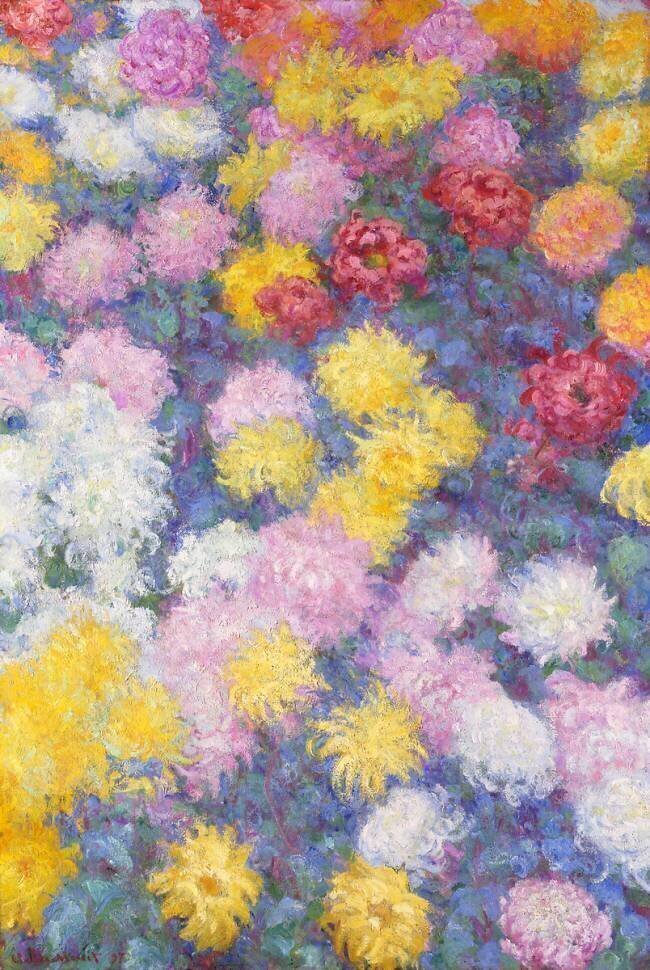 Chrysanthèmes Claude Monet