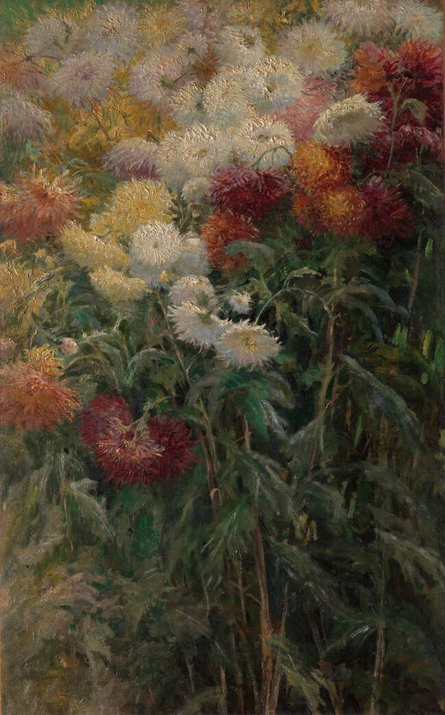 Chrysanthèmes au Jardin de Petit-Gennevillers Gustave Caillebotte