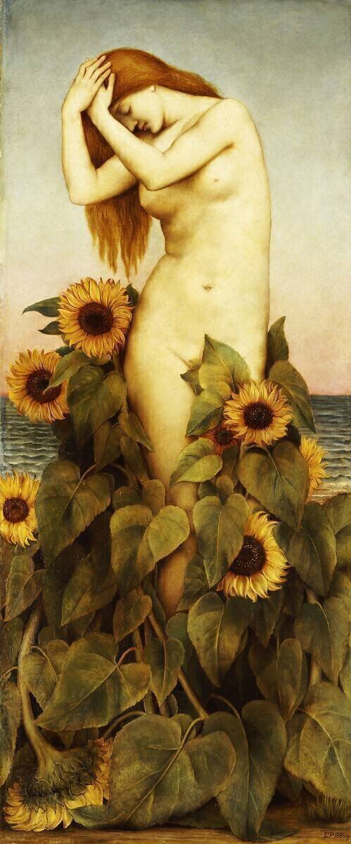 Clytie Evelyn de Morgan