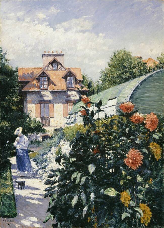 Dahlias Gustave Caillebotte