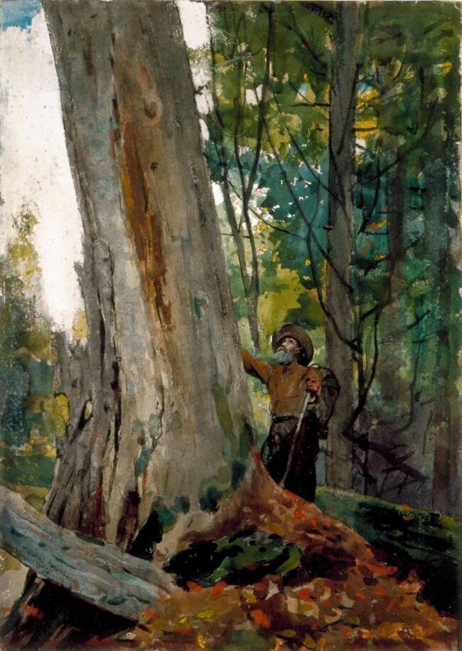 De Vieux Amis Winslow Homer