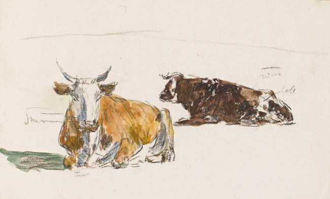Deux boeufs couchés Eugène Boudin