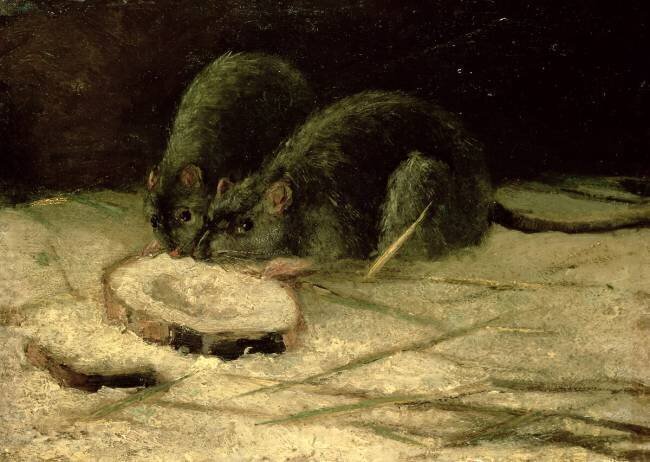 Deux rats Vincent van Gogh