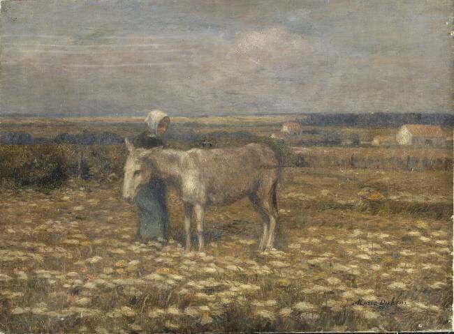 Âne au pré Marie Duhem
