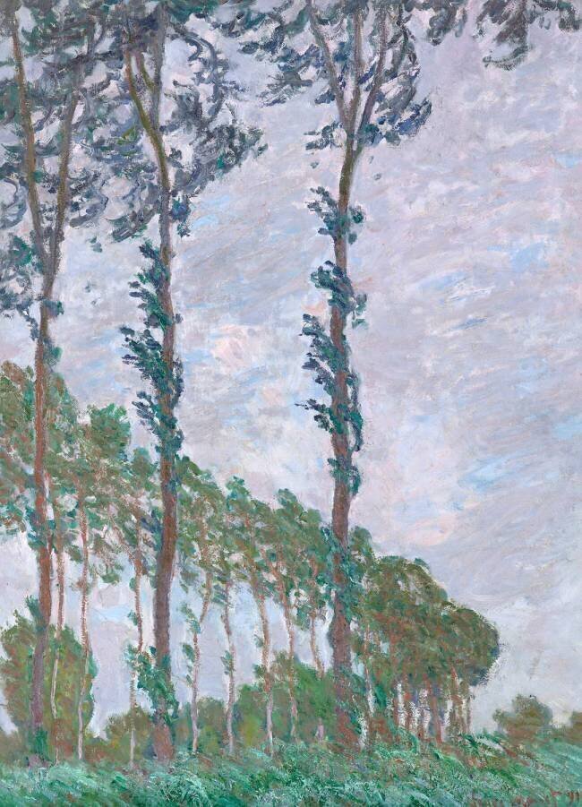 Effet de vent, série des peupliers Claude Monet