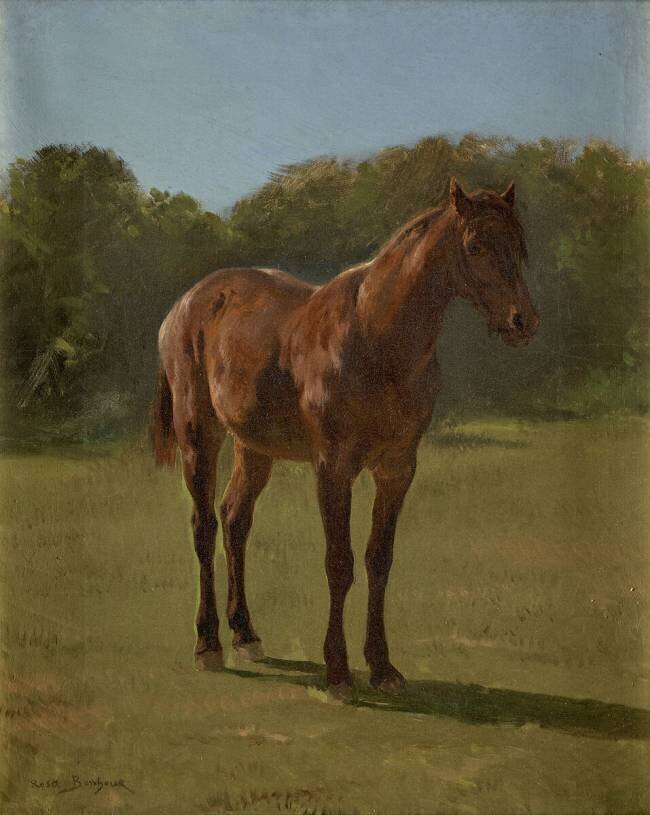 Etude de cheval bai cerise Rosa Bonheur