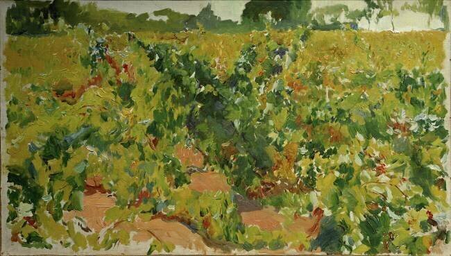 Etude de vignoble Joaquin Sorolla y Bastida