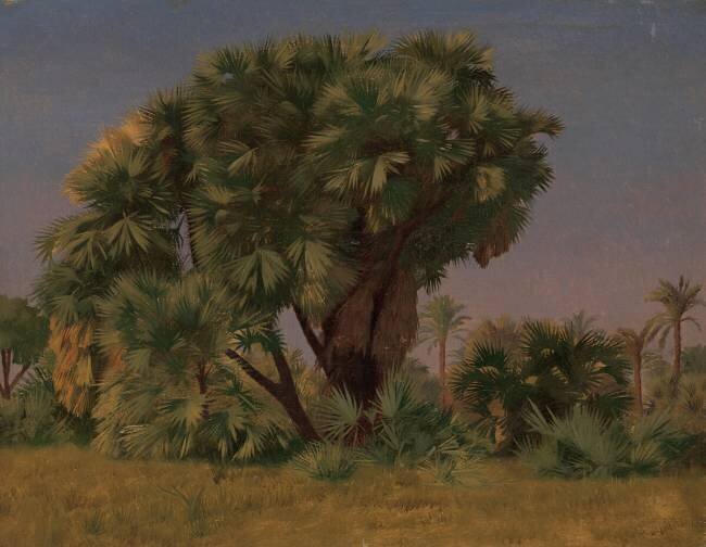 Étude des palmiers Jean-Léon Gérôme