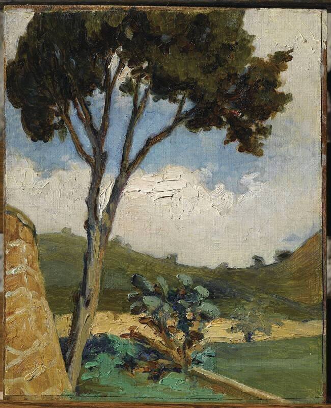 Figuier de barbarie Jean-Baptiste Bassoul