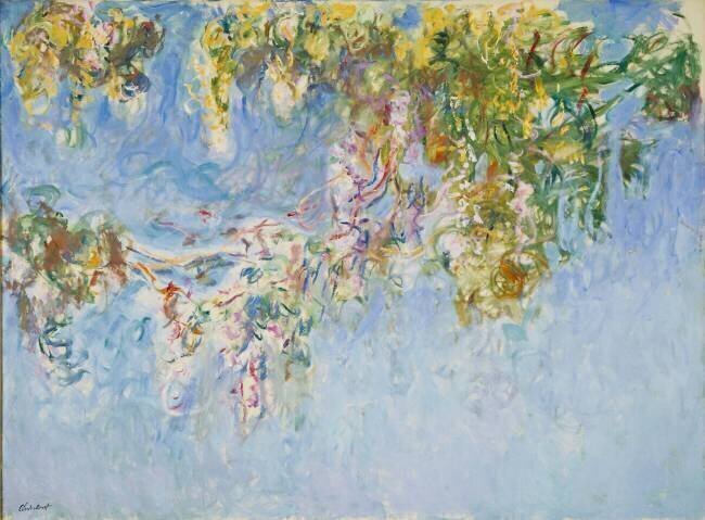 Glycine Claude Monet