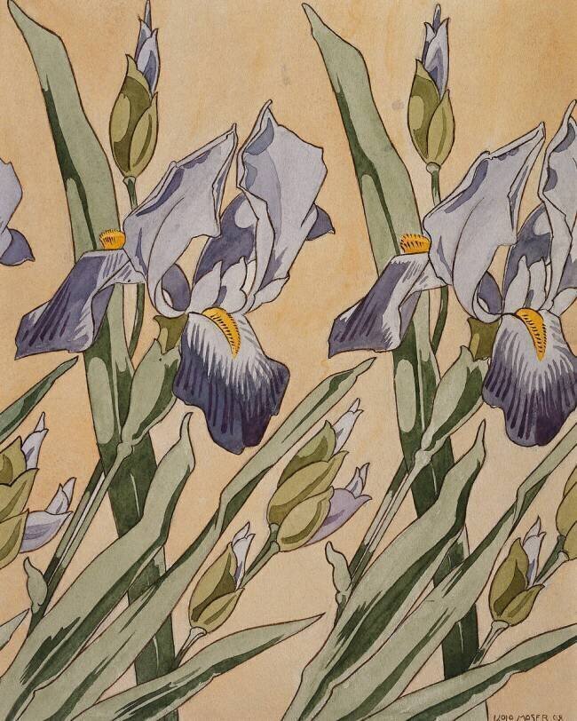 Iris Koloman Moser