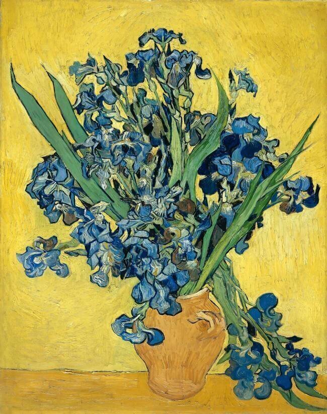Iris Vincent van Gogh