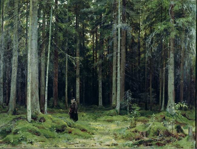 La forêt de la comtesse Mordvinov Ivan Chichkine