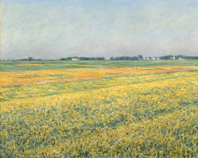 La Plaine de Gennevilliers, Champs Jaunes Gustave Caillebotte