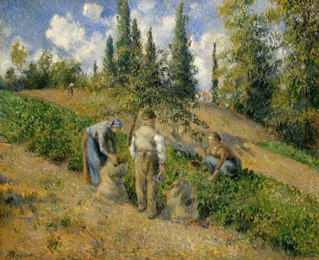 La récolte Camille Pissarro