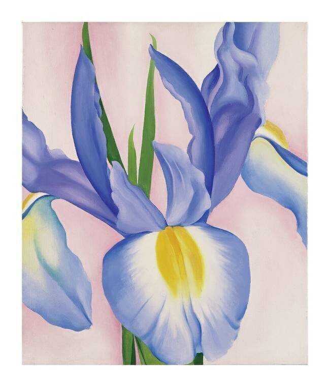 Lavender Iris, 1951 Georgia O'Keeffe