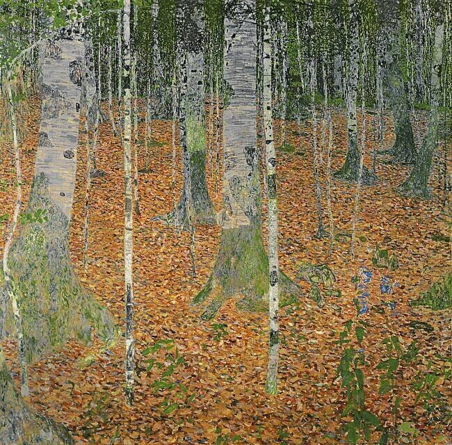 Le bois de bouleaux Gustav Klimt