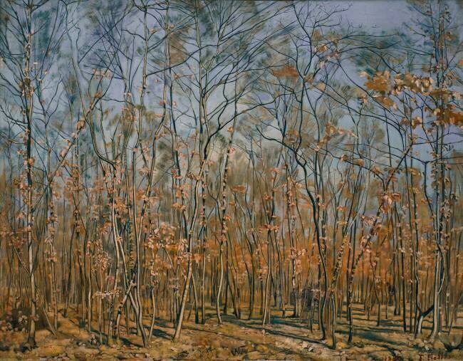 Le Bois des Frère Ferdinand Hodler