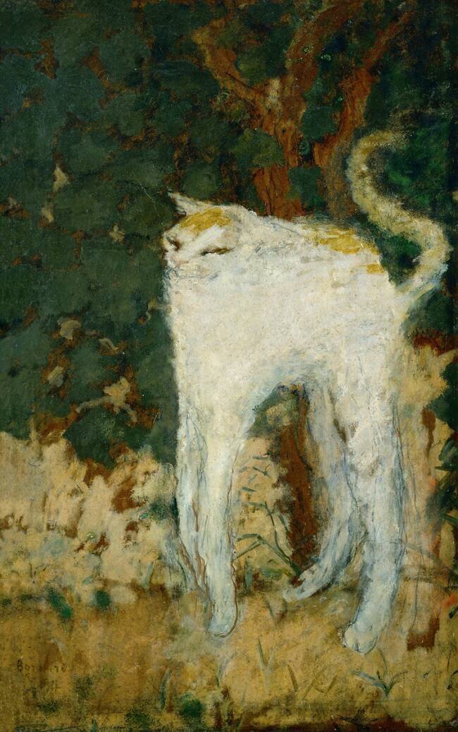 Le chat blanc Pierre Bonnard