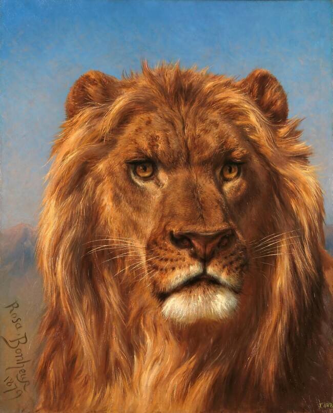 Le Cid Rosa Bonheur