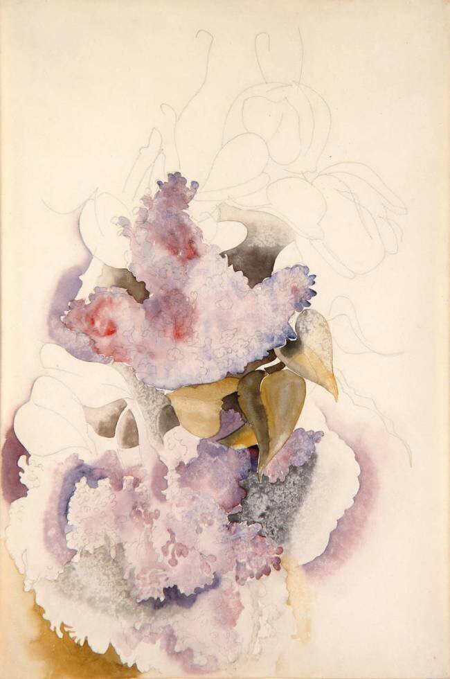 Lilas Charles Demuth