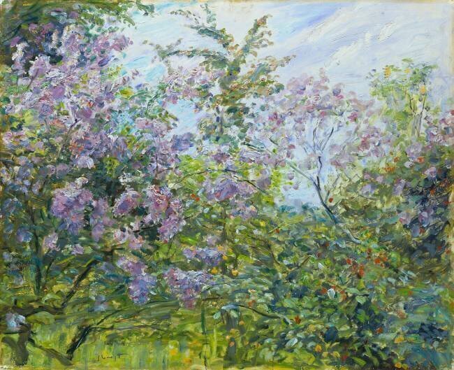 Lilas en Fleurs Max Slevogt