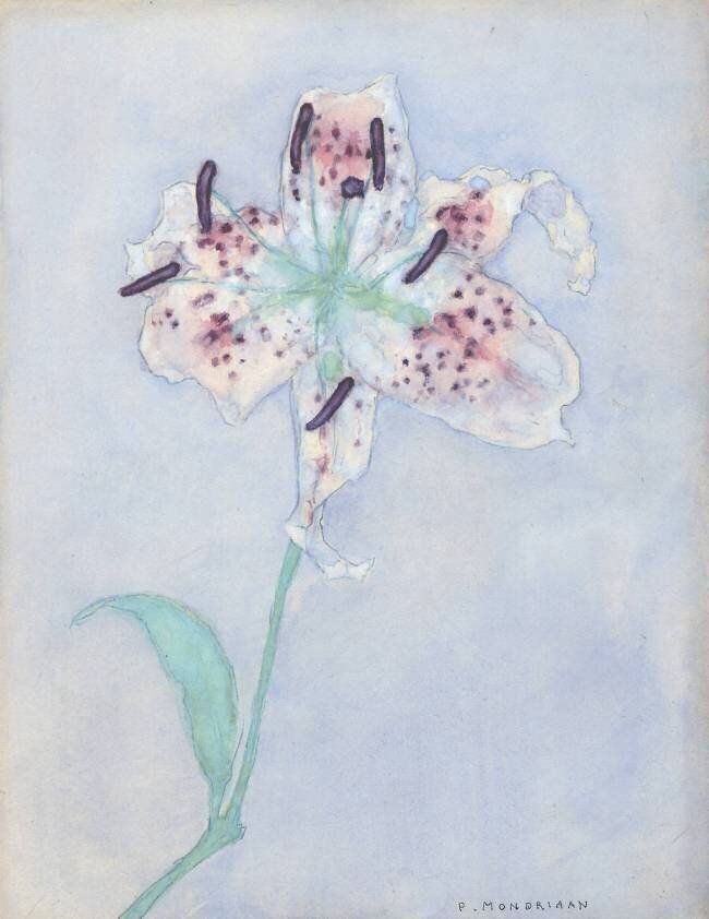Lys Piet Mondrian