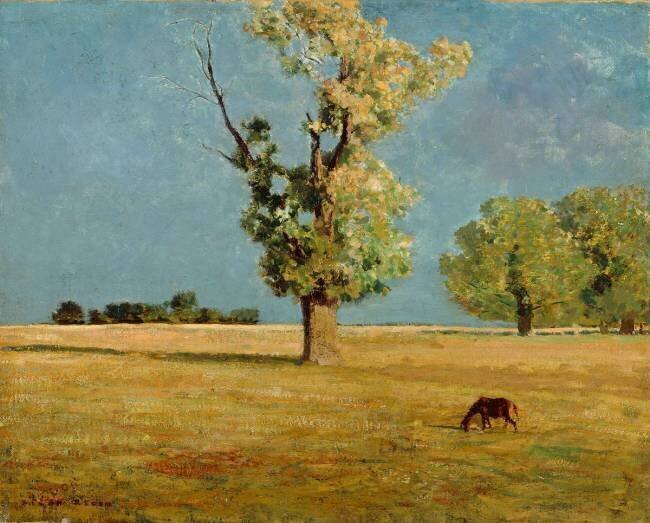 Médoc, l'arbre Odilon Redon