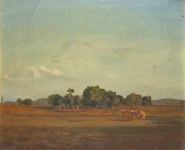 Médoc. Le bouquet d'arbres Odilon Redon