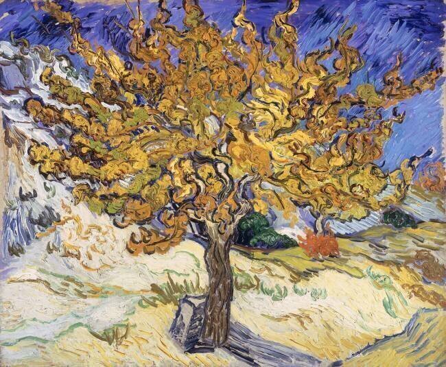 Mûrier Vincent van Gogh