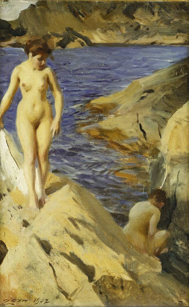 Nues Anders Zorn