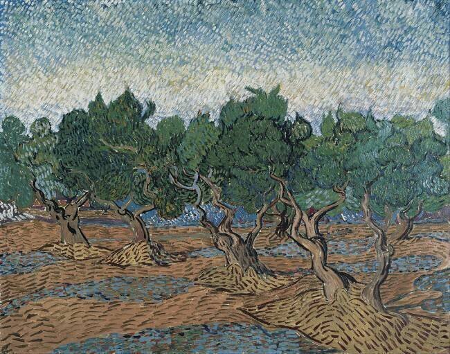Oliveraie Vincent van Gogh