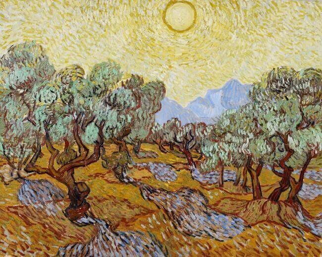 Oliviers Vincent van Gogh