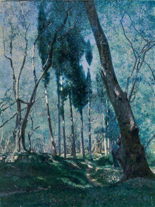 Oliviers - Menton Henry Brokman