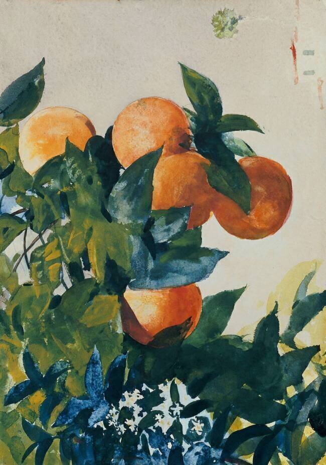 Oranges sur une branche Winslow Homer