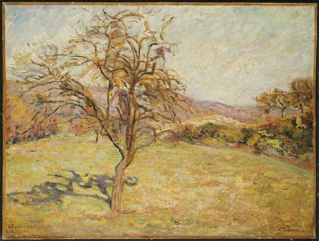 Paysage Armand Guillaumin