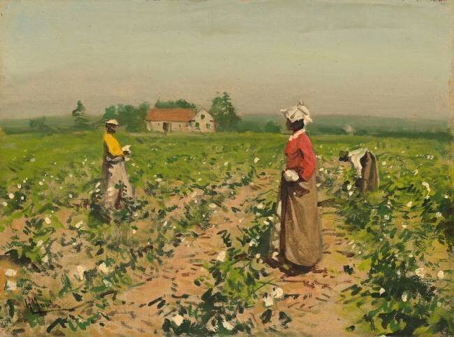 La cueillette du coton Gilbert Gaul
