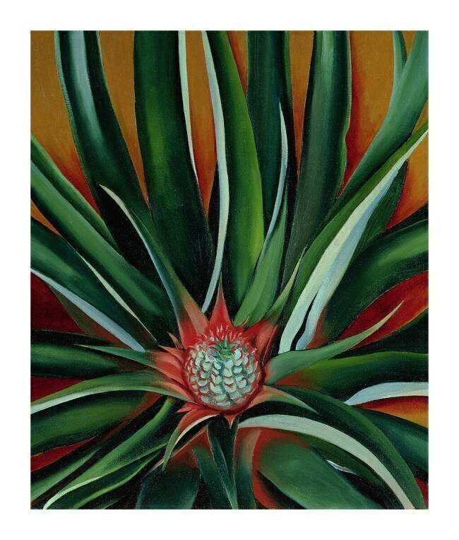 Pineapple Bud, 1939 Georgia O'Keeffe