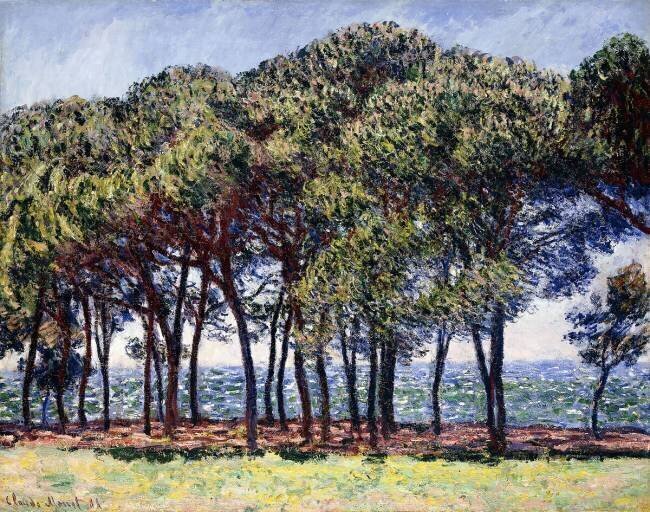 Pins Claude Monet