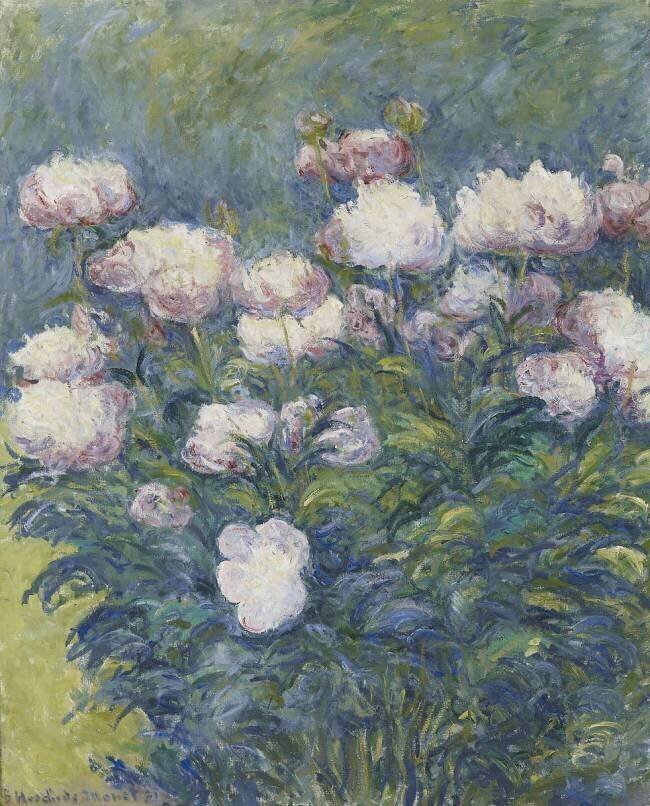 Pivoines Blanche Hoschedé