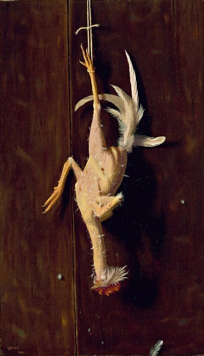 Plucked Clean William Michael Harnett