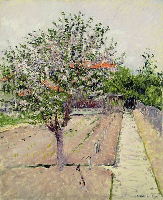 Pommier en Floraison Gustave Caillebotte