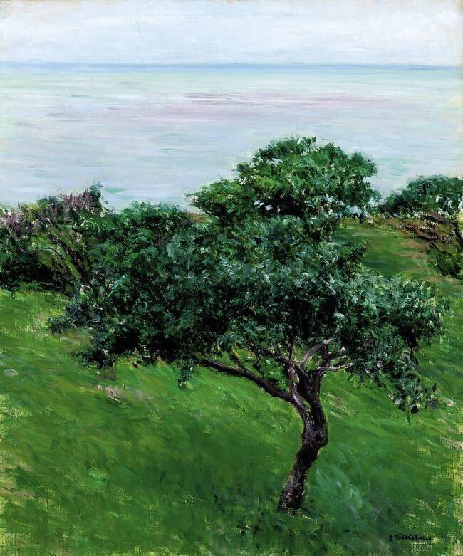 Pommiers en Bord de Mer à Trouville Gustave Caillebotte