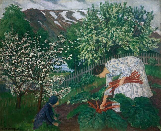 Rhubarbe Nikolai Astrup